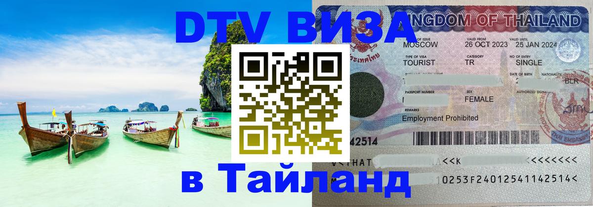 Сколько стоит DTV виза — актуальные цены, оформление даже без документов - Сызрань 
